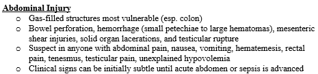Blast injuries fact list: abdominal injury.