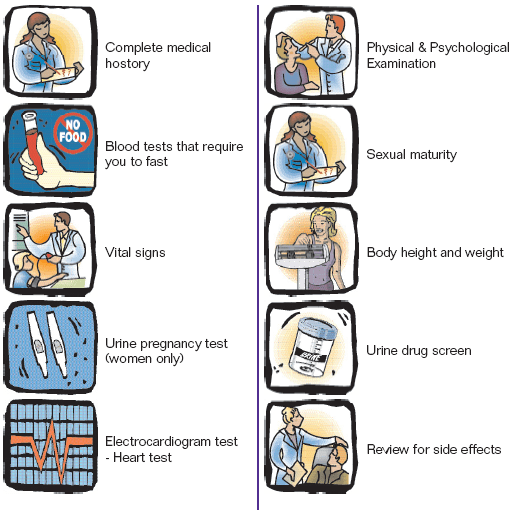 An illustrated guide to the study procedures, including medical history, physical and psychological examination, fasting blood tests, vital signs, urine tests and an ECG.